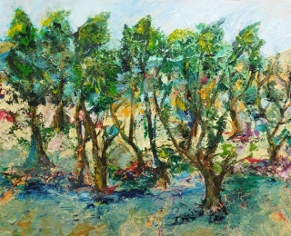 Contemplation - Paysages